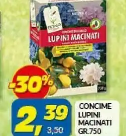 Giardinaggio