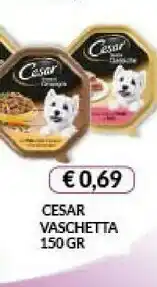 Risparmio Casa Cesar Cibo per cani offerta