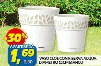 Vasi