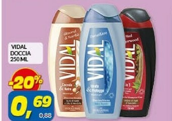 Risparmio Casa Vidal Doccia 250 Ml offerta