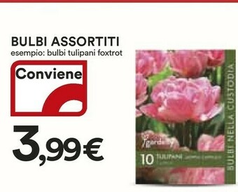 Coop Piante offerta