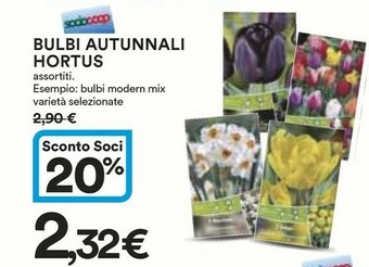 Coop Piante offerta