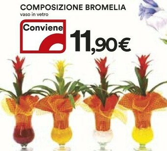 Coop Piante offerta