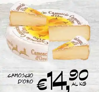 èccoMI CAMOSCIO D'ORO offerta
