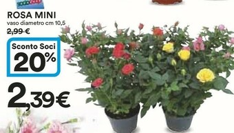 Coop Piante offerta