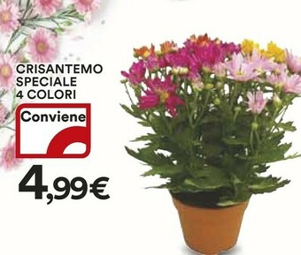 Coop Piante offerta