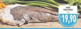 Supermercati Agorà Rana Pesce offerta