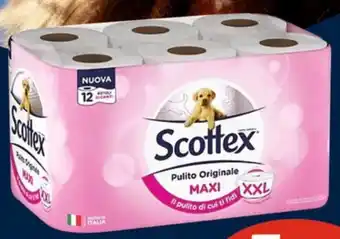 SCOTTEX Carta igienica Pulito completo 12 maxi rotoli