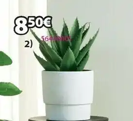 JYSK Pianta Artificale Steinar offerta