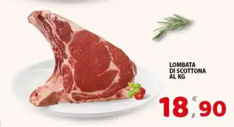 LOMBATA DI SCOTTONA AL KG
