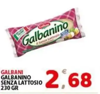 Premium Supermercati GALBANI GALBANINO SENZA LATTOSIO 230 GR offerta
