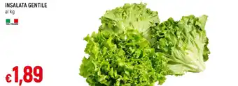 Galassia INSALATA GENTILE offerta