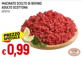 Galassia MACINATO SCELTO DI BOVINO ADULTO SCOTTONA offerta