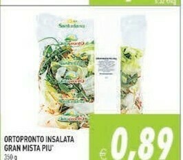 Gros Insalata offerta