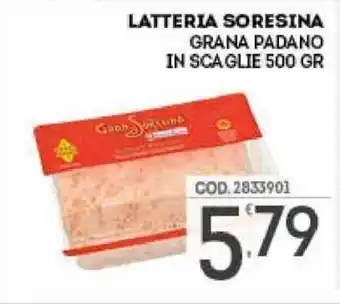 Eurocash Latteria Soresina Grana Padano in Scaglie 500gr offerta