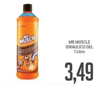 Supermercati Piccolo MR MUSCLE IDRAULICO GEL 1 Litro offerta