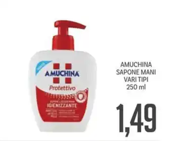 Supermercati Piccolo AMUCHINA SAPONE MANI VARI TIPI 250 ml offerta