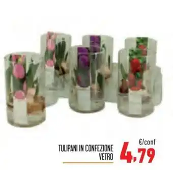 TULIPANI IN CONFEZIONE VETRO