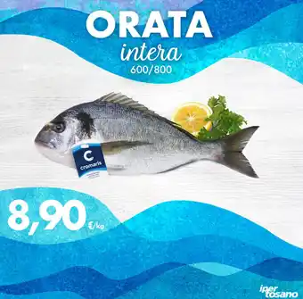 Iper Tosano ORATA intera 600/800 offerta
