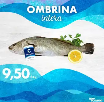 Iper Tosano OMBRINA intera offerta