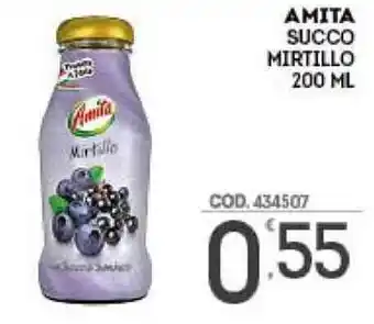 Eurocash Amita Succo Mirtillo 200ml offerta
