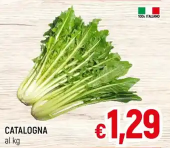A&O CATALOGNA offerta