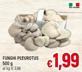 A&O FUNGHI PLEUROTUS 500 g offerta