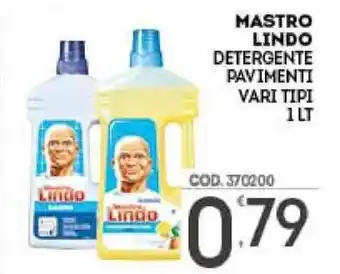 Eurocash Mastro Lindo Detergente Pavimenti 1lt offerta
