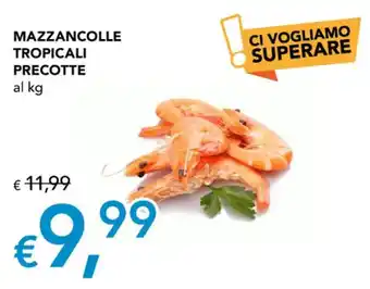 MAZZANCOLLE TROPICALI PRECOTTE al kg