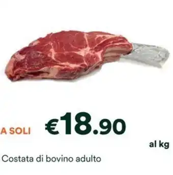 Unes Costata di bovino adulto offerta