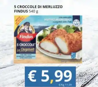 5 CROCCOLE DI MERLUZZO FINDUS 540 g