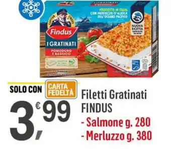 Supermercati Dok Filetti Gratinati FINDUS offerta