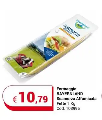 Centro Cash Formaggio BAYERNLAND Scamorza Affumicata Fette 1 Kg offerta