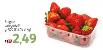 Maxi Family Fragole categoria 1a gr 500 offerta