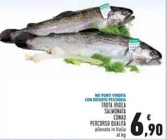 Conad TROTA IRIDEA SALMONATA CONAD PERCORSO QUALITÀ allevata in Italia al kg offerta