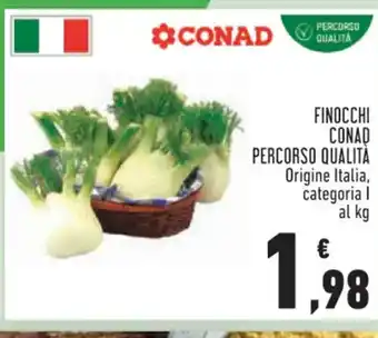 Conad FINOCCHI CONAD PERCORSO QUALITÀ Origine Italia, categoria I al kg offerta
