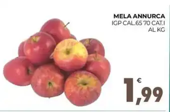 Eté MELA ANNURCA IGP CAL.65 70 CAT.I AL KG offerta