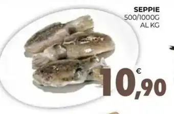 Eté SEPPIE 500/1000G AL KG offerta