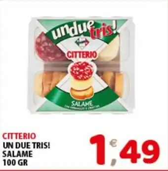 Mio Market CITTERIO UN DUE TRIS! SALAME 100 GR offerta