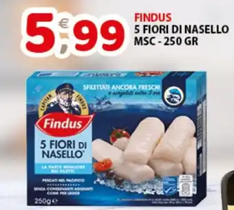 Mio Market FINDUS 5 FIORI DI NASELLO MSC-250 GR offerta