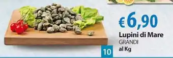 Extra Supermercati Lupini di Mare GRANDI offerta