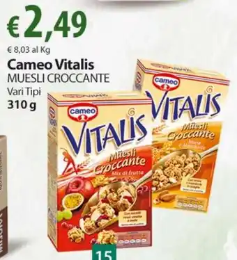 Extra Supermercati Cameo Vitalis MUESLI CROCCANTE Vari Tipi 310g offerta