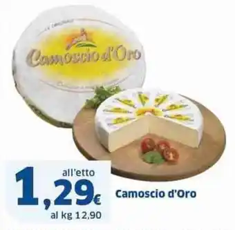 Sigma Camoscio d'Oro offerta