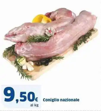 Sigma Coniglio nazionale offerta