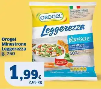 Sigma Orogel Minestrone Leggerezza g 750 offerta