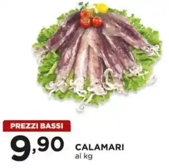 CALAMARI al kg