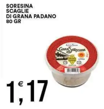 Vantaggio Cash&Carry SORESINA SCAGLIE DI GRANA PADANO 80 GR offerta