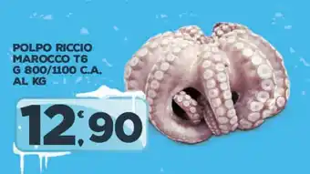 POLPO RICCIO MAROCCO T6 G 800/1100 C.A.