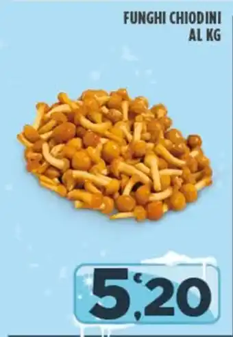 Deco Superfreddo FUNGHI CHIODINI offerta