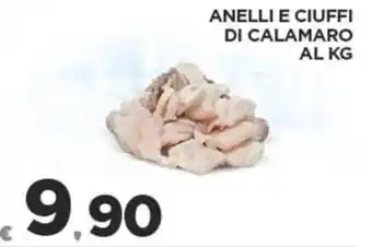 Deco Superfreddo ANELLI E CIUFFI DI CALAMARO offerta